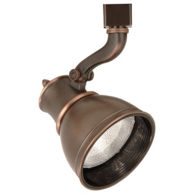 Caribe Line Voltage PAR30 Track Head by WAC Lighting - Starlight Lighting USA and Canada